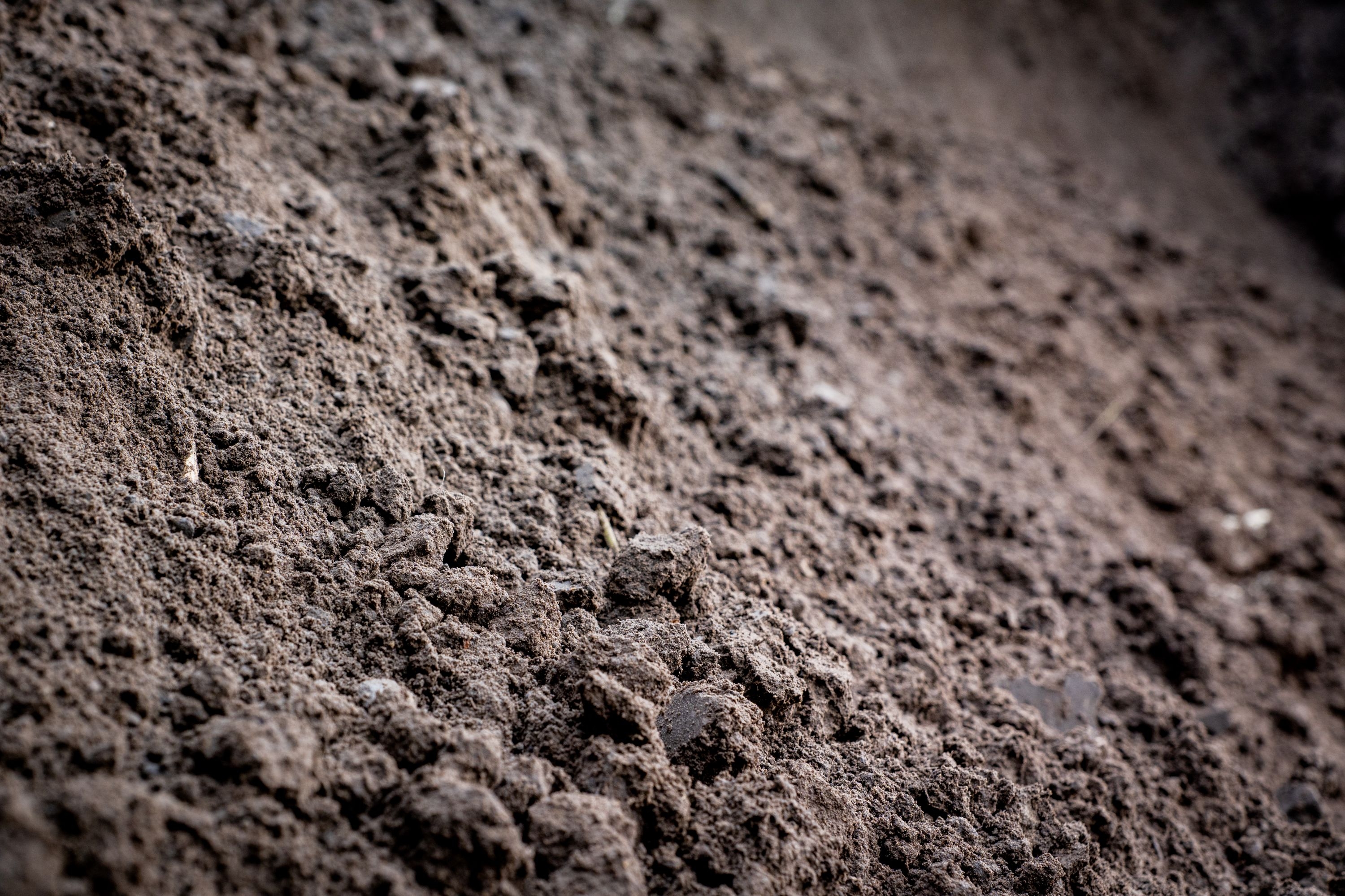 Teelaarde / Zwarte grond